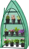 eagle peak mini greenhouse for indoor outdoor, 35x18x63, main product view