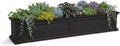 mayne fairview 60in self-watering rectangular window box planter, main product view