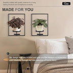 Sisher Plant Stand Indoor Outdoor,Window Plant Shelf Picture Frame Wall Plant Stand Metal Wall Plant Shelf Ease of Assembly Modern Style for Home Decor (Square 2-pack)