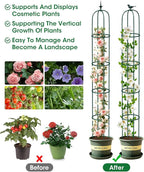 2PCS Garden Trellis for Climbing Plants, 6.2FT Rustproof Metal Pipe with Heavy Duty Plastic Coated, Garden Outdoor Indoor Potted Plant Support, Obelisk Garden Trellis for Climbing Vine (Green)