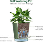 4 inch Self Watering Pots for Indoor Plants, 5 Pack Small Flower Plant Pots with Drainage Holes and Clear Reservoirs, Visible Water Level, Plastic Planters with Wicking Rope, Green