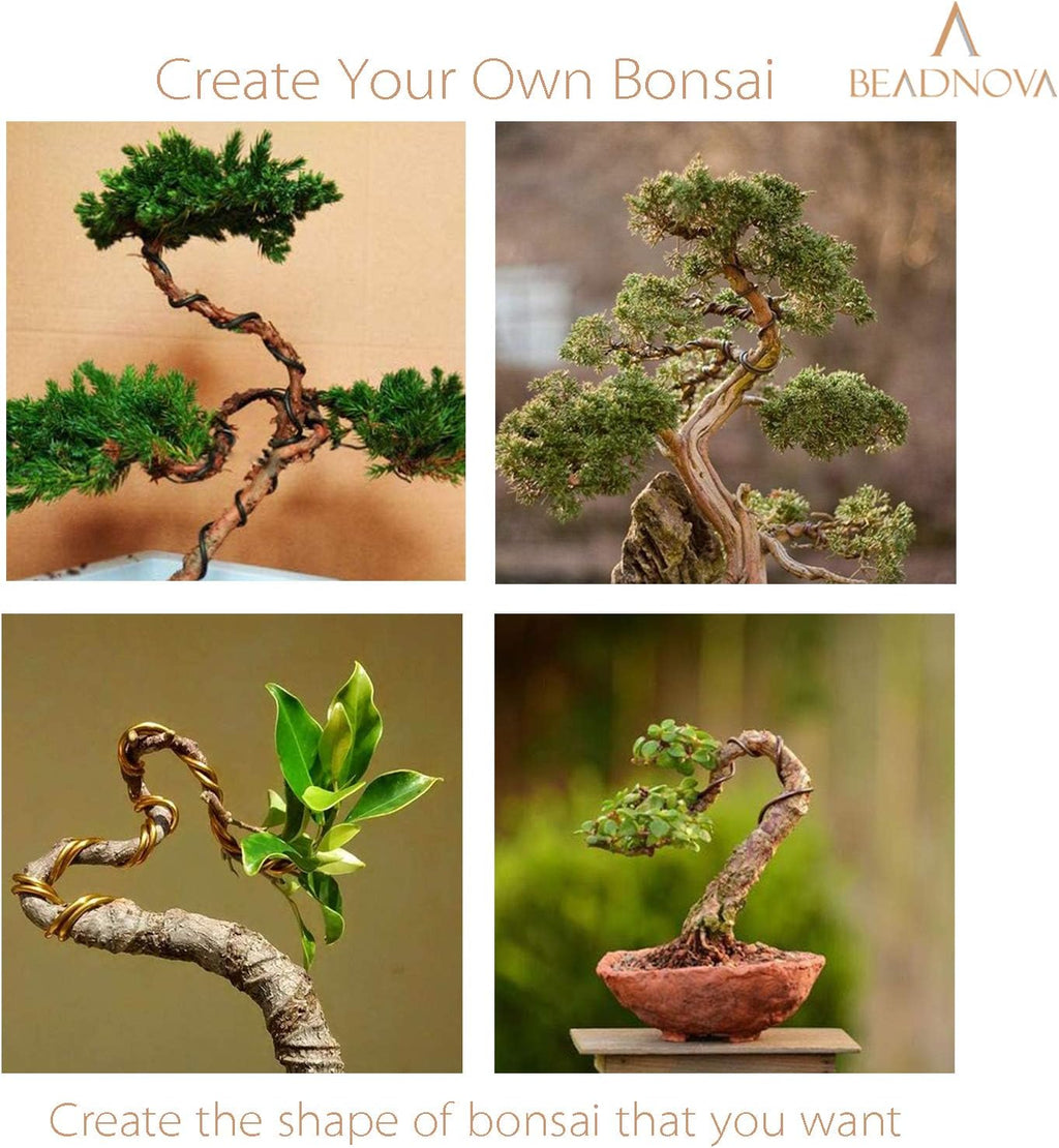 BEADNOVA Bonsai Tree Wire 98 Feet Green Aluminum Bonsai Tree Training Wire for Indoor and Outdoor Plant (Green, 1mm, 30m)
