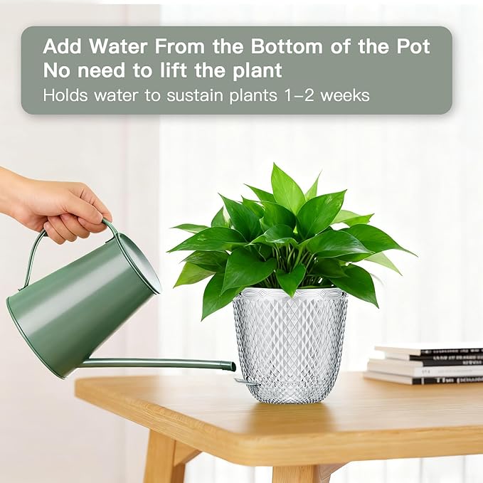 QCQHDU Self Watering Hanging Pots, 2 Pack 5.7 Inch Hanging Planters for Plants Indoor, Outdoor Flower Pots with Drainage Holes and 3 Hooks Chains for Garden Home (Clear)
