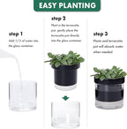 Phoenix Vine 4 Inch Self Watering Planter Pot, Black Terracotta Clay Pot with Glass Reservoir for Indoor Plants, Herbs, Flowers, Set of 4, 52-C-E-4
