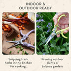 Modern Sprout Pruning Shears - Garden Snips - Herb Scissors - Sage 1-Pack | Lightweight Gardening Tool - Durable Carbon Steel Blade W/Easy-Lock - Gardening Supplies - Flower Cutter - Reusable Holster