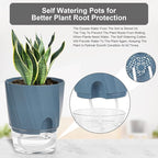 KIMCHOMERSE Self Watering Plant Pots, 6 Inch Plant Pots White, Pink, Blue, 3 Pack Flowers Pot Indoor Planter Pots with Tray for Spider Plant, Orchid, African Violet