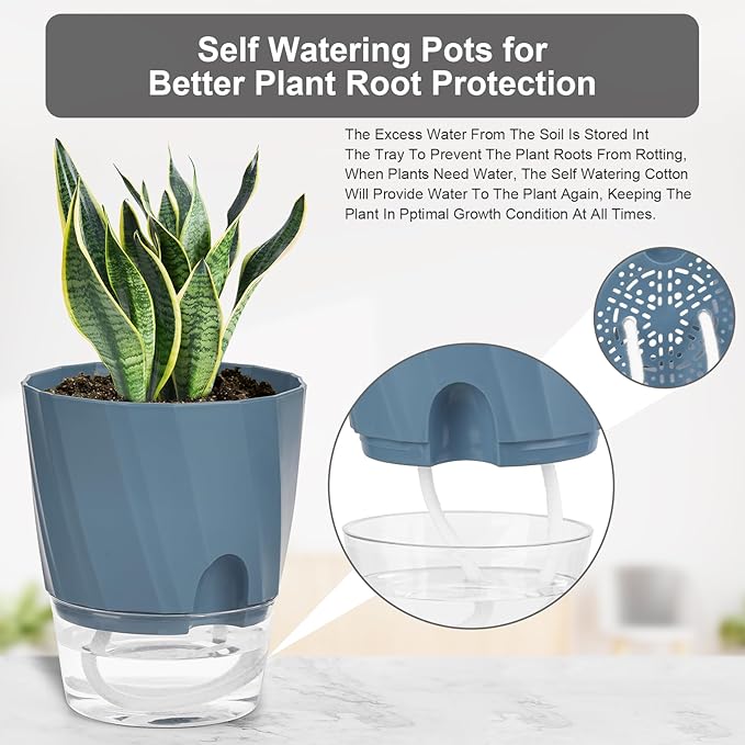 KIMCHOMERSE Self Watering Plant Pots, 6 Inch Plant Pots White, Pink, Blue, 3 Pack Flowers Pot Indoor Planter Pots with Tray for Spider Plant, Orchid, African Violet