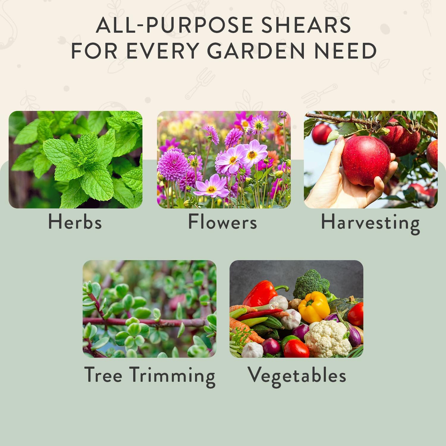 Modern Sprout Pruning Shears - Garden Snips - Herb Scissors - Sage 1-Pack | Lightweight Gardening Tool - Durable Carbon Steel Blade W/Easy-Lock - Gardening Supplies - Flower Cutter - Reusable Holster