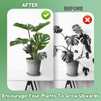 succulentlovers 4PCS Indoor Plant Support Stakes, 12.6 Inch Metal Monstera Plant Supports, Indoor Plant Trellis Plant Stem Holder Support for Indoors & Outdoor Garden Plants Stabilization and Supports