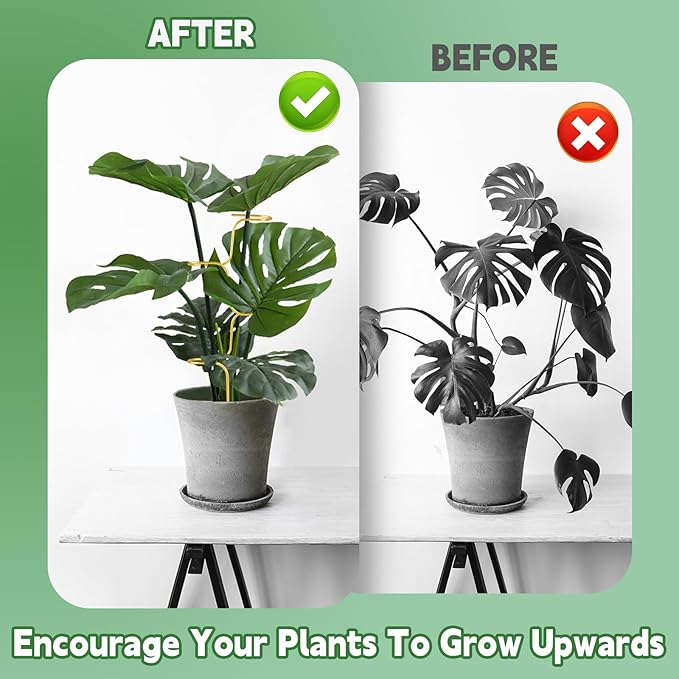 succulentlovers 4PCS Indoor Plant Support Stakes, 12.6 Inch Metal Monstera Plant Supports, Indoor Plant Trellis Plant Stem Holder Support for Indoors & Outdoor Garden Plants Stabilization and Supports