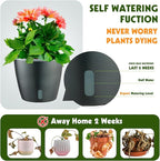 Self Watering Pots for Indoor Plants, 6-Pack 6.7'' Self Watering Planter with Drainage Holes, Small African Violet Pots with Water Indicator, Clear Wick Orchid Pot, Grey
