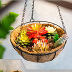 hehimhis Coco Liners for Hanging Baskets, Coco Fiber Liner, 2 Pieces 16 inch Round Replacement Plant Basket Liners