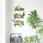 Mkono Plant Propagation Tubes, 3 Tiered Wall Hanging Terrarium with Wooden Stand Mini Test Tube Flower Vase Glass Planter Stations for Hydroponic Cutting Home Garden Office Decor Plant Lover Gift
