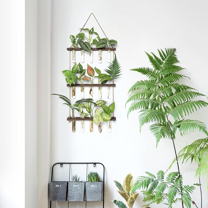 Mkono Plant Propagation Tubes, 3 Tiered Wall Hanging Terrarium with Wooden Stand Mini Test Tube Flower Vase Glass Planter Stations for Hydroponic Cutting Home Garden Office Decor Plant Lover Gift