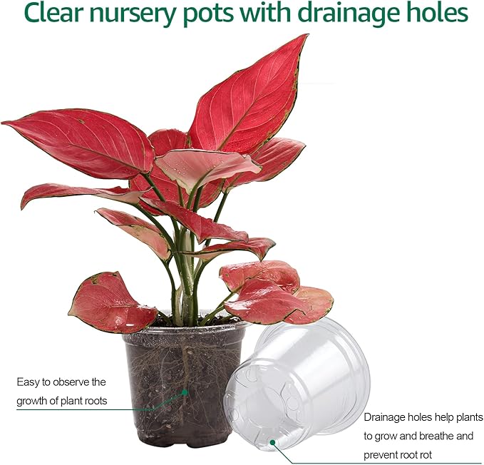 30 Packs 4 Inch Reinforced Clear Nursery Pots with Humidity Dome, Transparent Plastic Plant Pot Seedling Planter with Drainage Holes for Vegetable Propagation, Root Cutting, Seed Starting