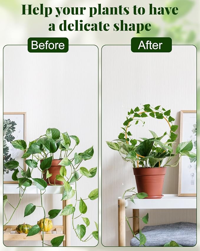 Unique Round Hoya Trellis, 3 Pcs Different Small Houseplant Trellis for Indoor Climbing Plant, Garden Trellis Plant Support for Potted Ivy and Flowers Outdoor(Gold)