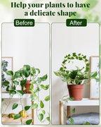 Unique Round Hoya Trellis, 3 Pcs Different Small Houseplant Trellis for Indoor Climbing Plant, Garden Trellis Plant Support for Potted Ivy and Flowers Outdoor(Gold)