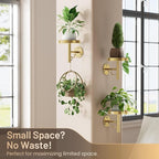 YUOROS 3 Pack Wall Plant Holder Stand Wall Planters for Indoor Plants Hanging Window Plant Hanger Decor (Gold)