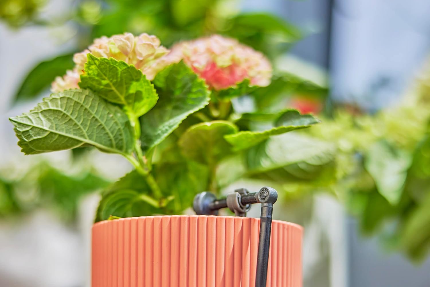 Gardena Micro-Drip-System L-Piece 4.6 mm (3/16 inch): Change Direction of Supply Pipes and Irrigation Lines by 90 Degrees, Kink-Free Installation, Easy & Flexible Connection Technology (13212-20)