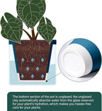 D'vine Dev 6 Inch Design Self Watering Planter for Indoor Plants, Blue Terracotta Pot with Cylinder Glass Cup, 37-X-B-4