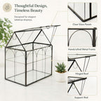 large tall plant greenhouse terrarium glass with lid, front angle view