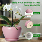 6 Inch Plant Pot - Ceramic Pot for Indoor Plants, Glaze Modern Decorative Round Ceramic Planter with Drainage Hole and Saucer, Plant Lover Gifts, Home Garden Room Office Decor, Pink