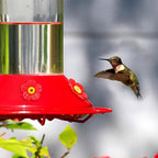 16 Sets Replacement Flowers for Hummingbird Feeder Parts with 2pcs Humming Bird Feeder Brushes for Cleaning, Hummingbird Feeder Replacement Flowers for Outdoor Hanging Bird Feeder Bee Guards Kit