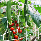Trellis Netting, CANAGROW Heavy-Duty Garden Plant Trellis Netting for Climbing Plants, Outdoor Indoor Grow Net for Beans Tomatoes Peas Pumpkin Flowers, 𝟔 𝐱 𝟑𝟎𝐟𝐭, 𝐏𝐚𝐜𝐤 of 4