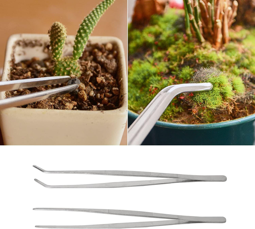 2 Pcs 12 Inch Long Handle Stainless Steel Straight and Curved Tweezers Nippers, Set with Serrated Tips Comfortable Ridged Handle for Garden, Kitchen, Indoors and Outdoors