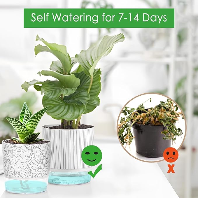 4 Pack Self Watering Pots for Indoor Plants, 4" + 5.5" Flower Pots with Wick Rope and Reservoir, Plant Pots for African Violet, Spider Plant, Orchid