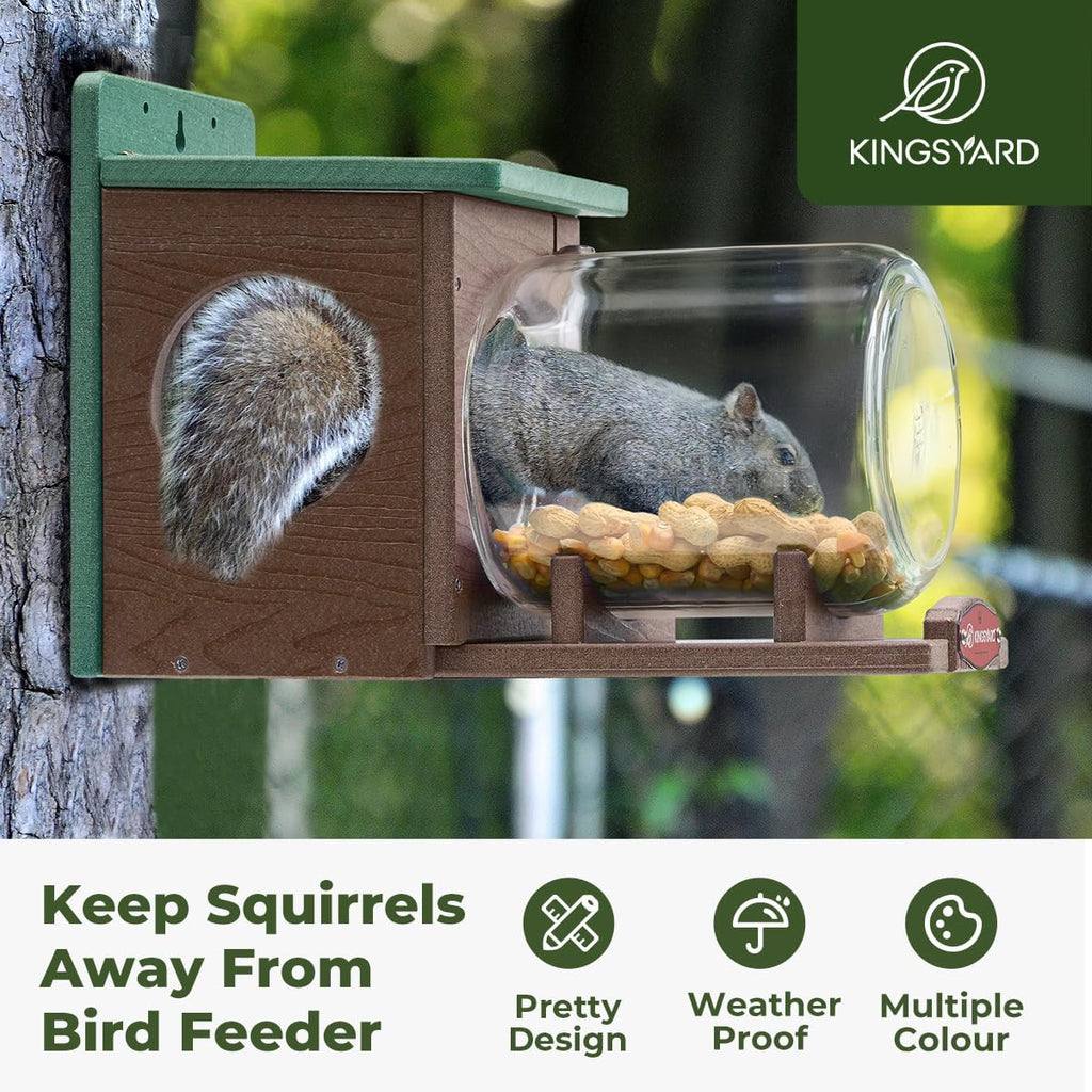 Kingsyard Recycled Plastic Squirrel Feeder for Outside, Squirrel Feeder Box with Peanuts Corn Storage Jar, Sturdy & Durable, Weatherproof (Green & Brown) | Sturdy & Durable Recycled Plastic, Removable Peanuts Corn Storage Jar, No Assembly Required