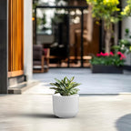 Kante Round Concrete Planter, 9 Inch Dia Classic Style Large Plant Pot with Drainage Hole for Indoor & Outdoor Plants, Ideal for Home, Patio, Garden, White