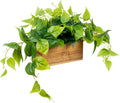 mygift artificial pothos plant, acacia wood planter box, main product view