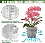 Orchid Pot with Saucers, 6 Packs of 5.5" Orchid Pots with Holes, Orchid Pots for Repotting, Plastic Orchid Planter for Indoor Outdoor Plants (6 Packs, 5.5" with Saucers)