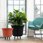 5 Pack 10.5 inch Plant Pots,Planter-Pots-for-Plants-Indoor-Outdoor，Plastic Flower Pot for Indoor Outdoor Plants with Drainage Holes & Trays, Decorative Garden Containers Sets for Houseplants