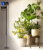 Barrina T1S Vertical Grow Light, 65W Full Spectrum, 5FT-5.6FT Height, Black | Mechanical Timer, High PPFD Grow Lights for Indoor Plants, Standing Side Lighting to Stand, Tall Plants, Foot Switch, Black