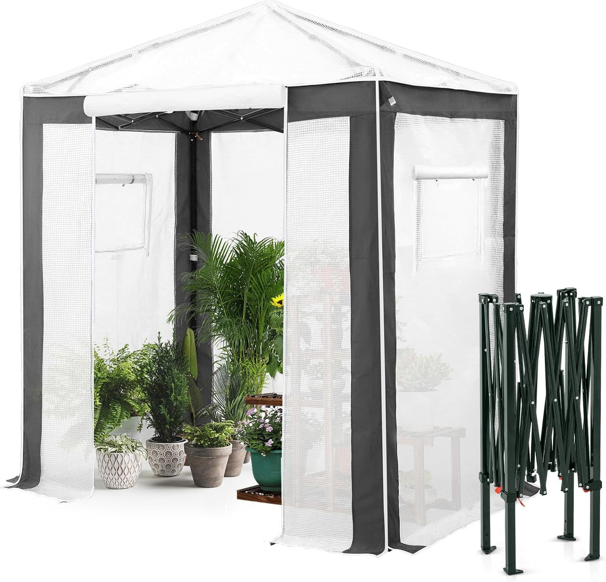 eagle peak 6x4 walk in pop up greenhouse, main product view
