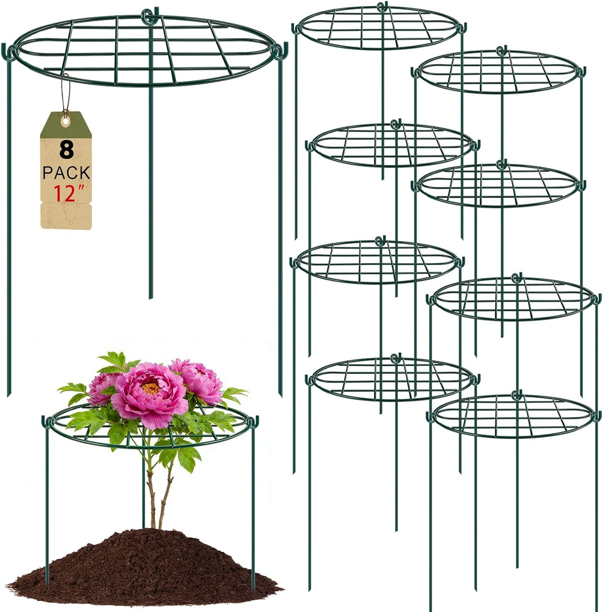 ttq 8 pack 12 x 15.7 inch peony, main product view