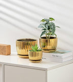 Ton Sin Gold Plant Pots,4.1+5.1+6.5 Inch Ceramic Succulent Planters Set of 3 Mini Indoor Flower Pot with Drainage,Handmade Decorative Ceramic Orchid and Herb Pots(Gold)