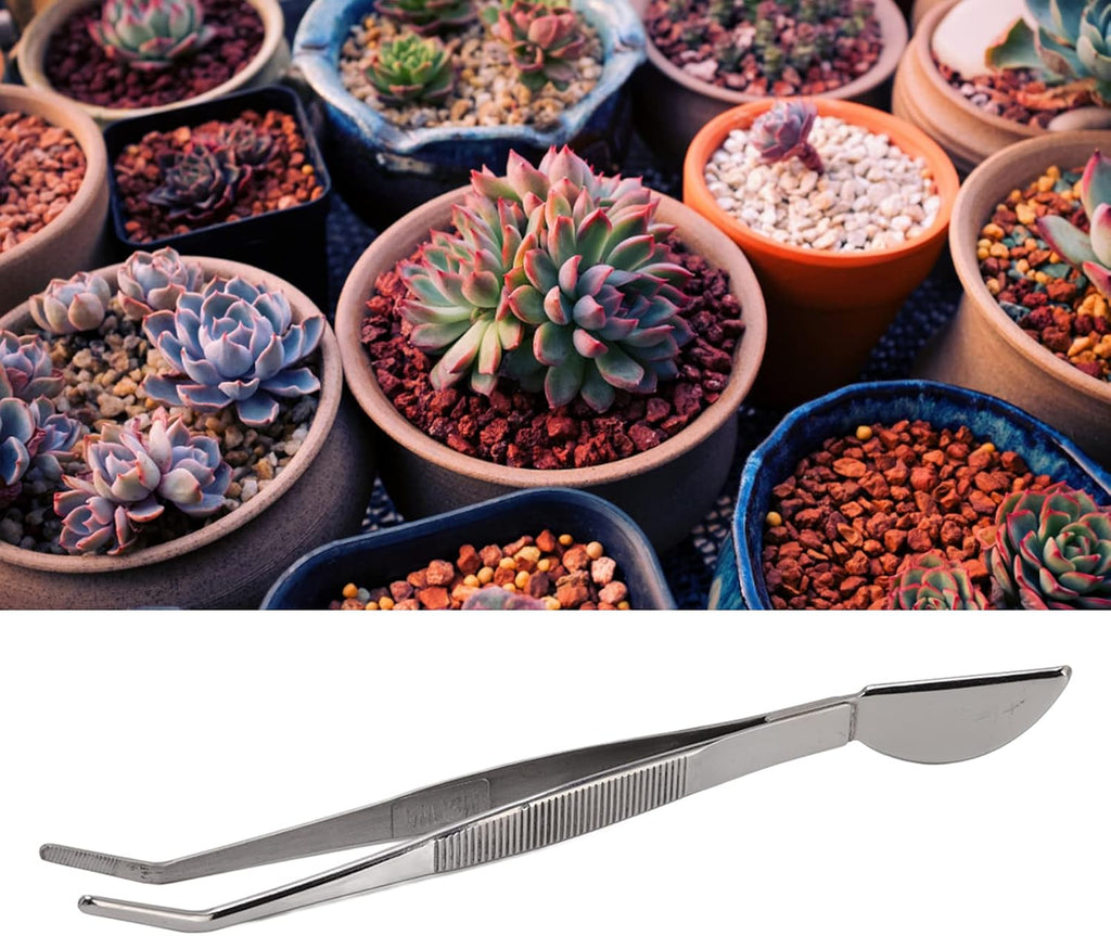 Bonsai Tweezers, Stainless Steel Long Handle Ergonomic Non Slip Grip with Smooth Edges for Removing Dead Leaves and Weeds from Bonsai Plants (Bent)