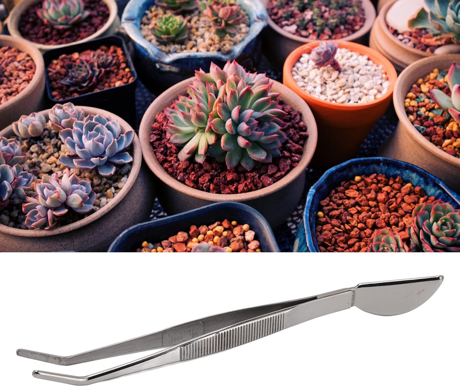 Bonsai Tweezers, Stainless Steel Long Handle Ergonomic Non Slip Grip with Smooth Edges for Removing Dead Leaves and Weeds from Bonsai Plants (Bent)