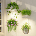 laszola plant hanger holder shelf wall indoor with, main product view