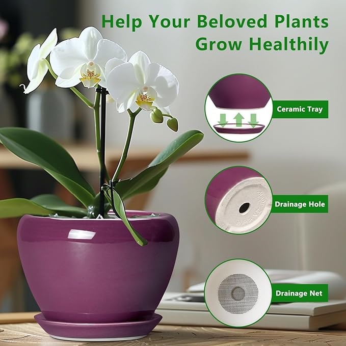 Ceramic Planter - 8 Inch Plant Pot Indoor with Drainage Hole and Saucer, Glaze Decorative Planter, Round Flower Pot, Plant Lover Gifts, Home Garden Office Decor, Purple