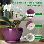Ceramic Pots for Plants 6 Inch - Ceramic Plant Pots with Drainage Hole and Saucer, Glaze Round Planter for Succulent Plants, Gifts for Plant Lovers, Garden Home Decor, Purple