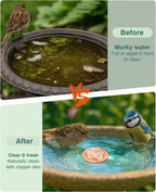OICEME Bird Bath Purification Disk Pure Copper Outside Solar Power Wild Hummingbird Hanging Bowl Metal Warmer Humming Cleaner Pedestal Outdoor Feeder Cage Dispenser Women Gift