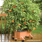 EarthBox 80155 Garden Kit, Organic, Terracotta
