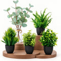 auuguu fake plants for home decor, small artificial, main product view