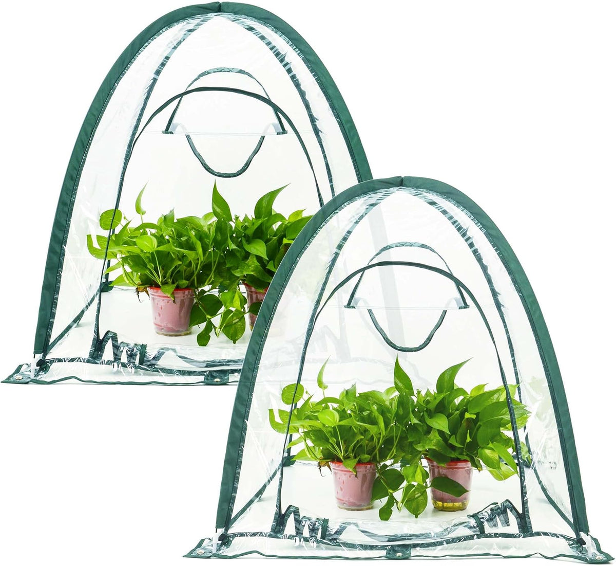 porayhut pop up greenhouse cover flower house,pack of, main product view