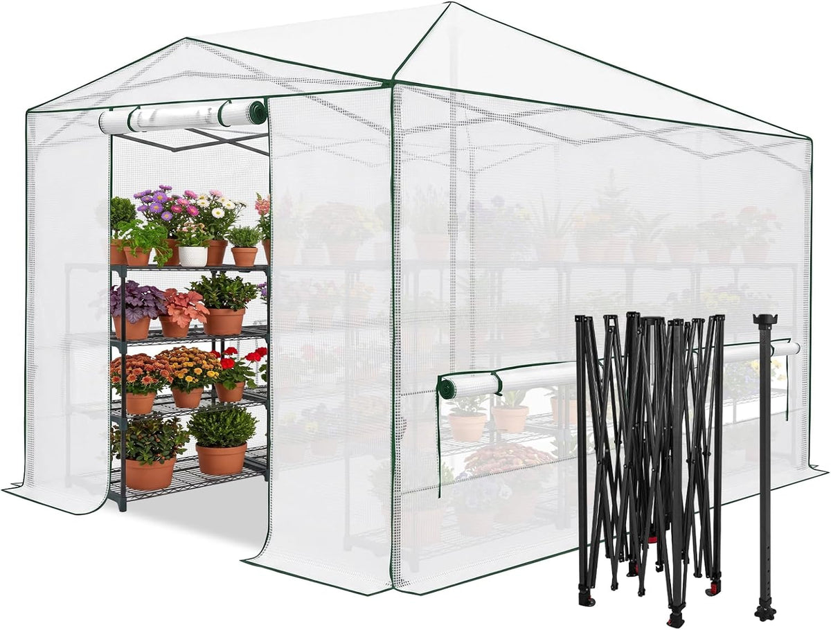 eagle peak 12x8 portable walk-in greenhouse, pop-up indoor, main product view