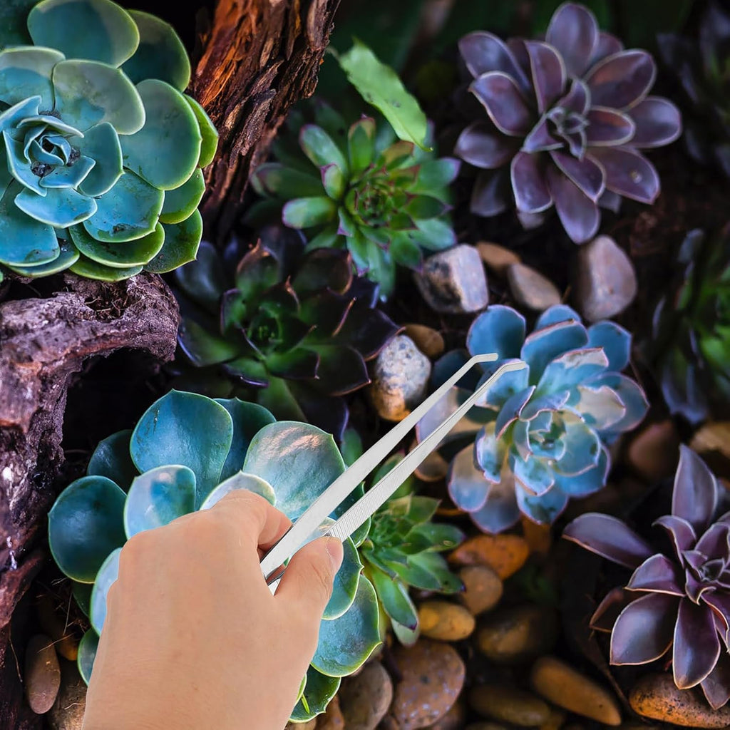 4pcs Gardening Tools Planting Tweezers Succulent Tool Kit Weed Puller for Garden